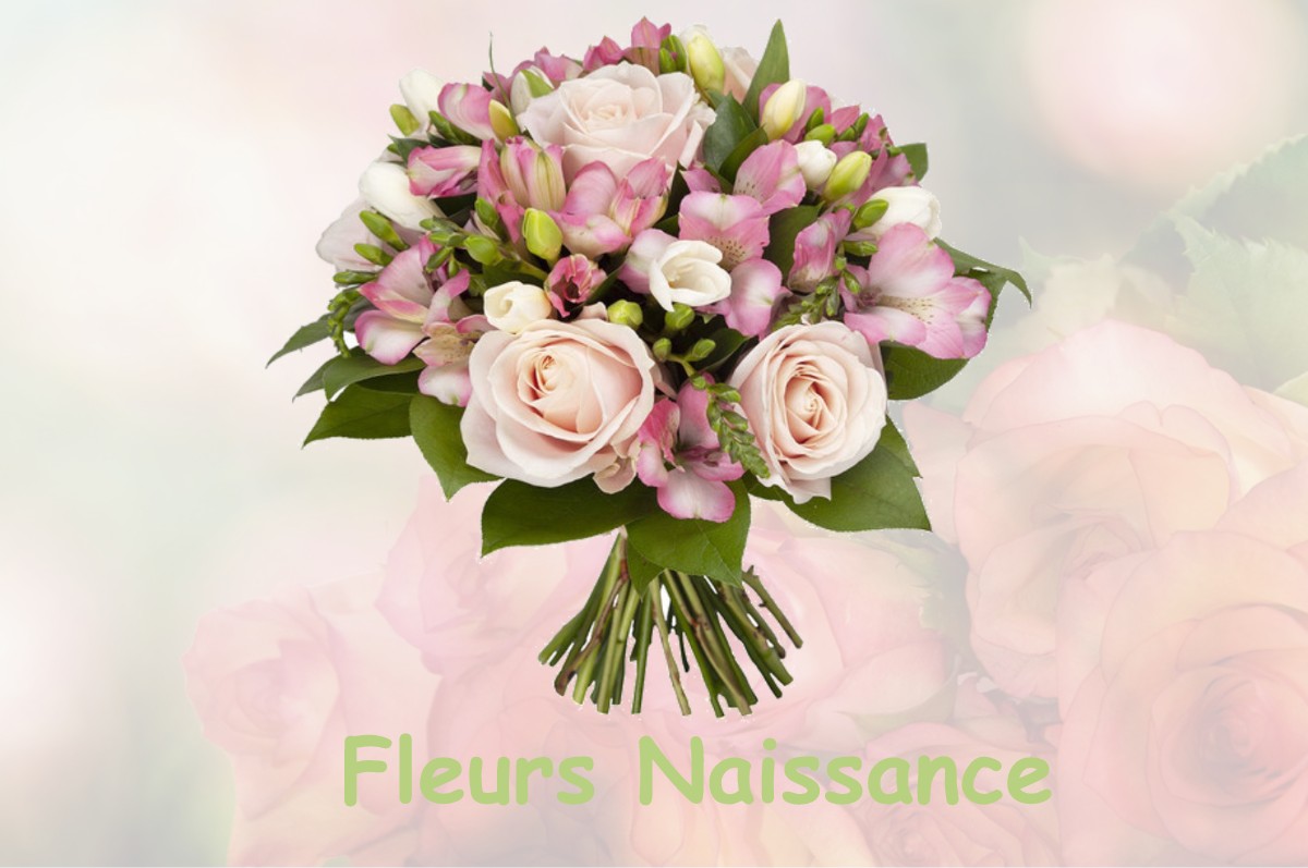 fleurs naissance VILLENEUVE-LA-GUYARD