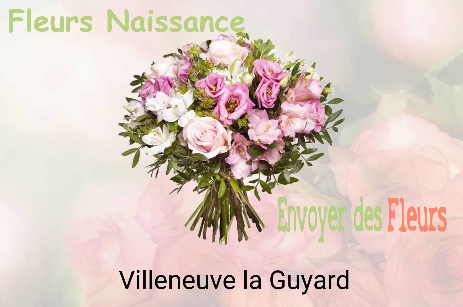 Bouquet de fleurs de naissance livré à Villeneuve-la-Guyard