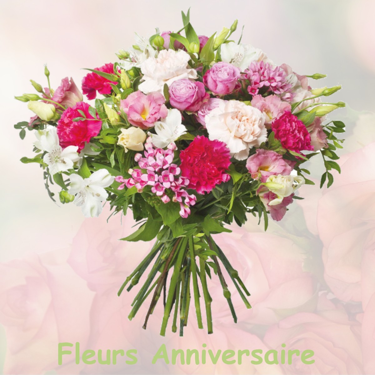 fleurs anniversaire VILLENEUVE-LA-GUYARD
